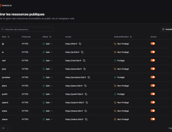 Pangolin: Du tunneling simplifié