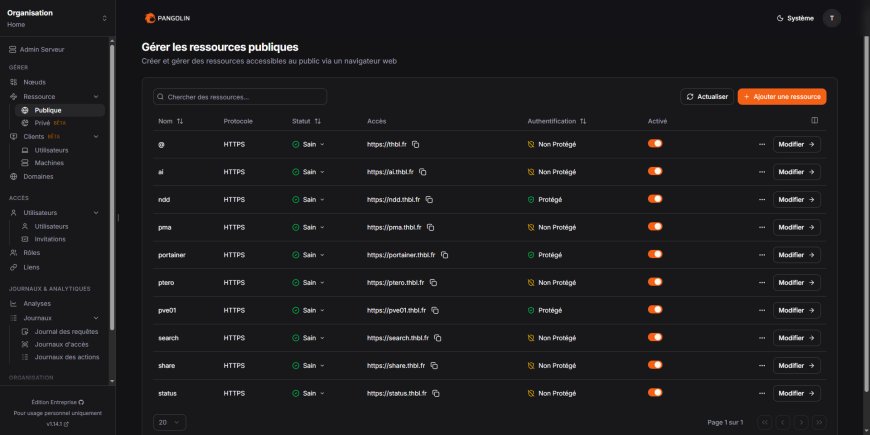 Pangolin: Du tunneling simplifié